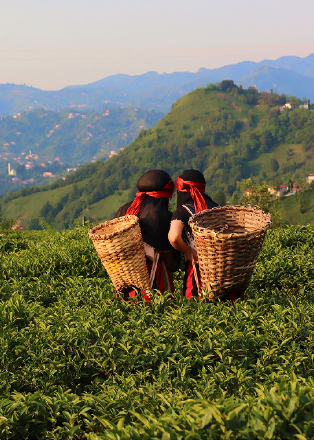 illam