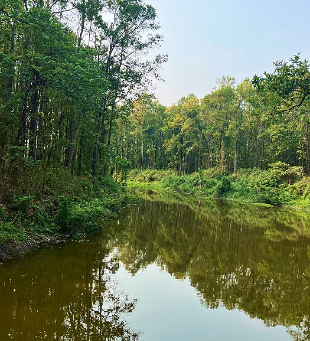 jhapa park