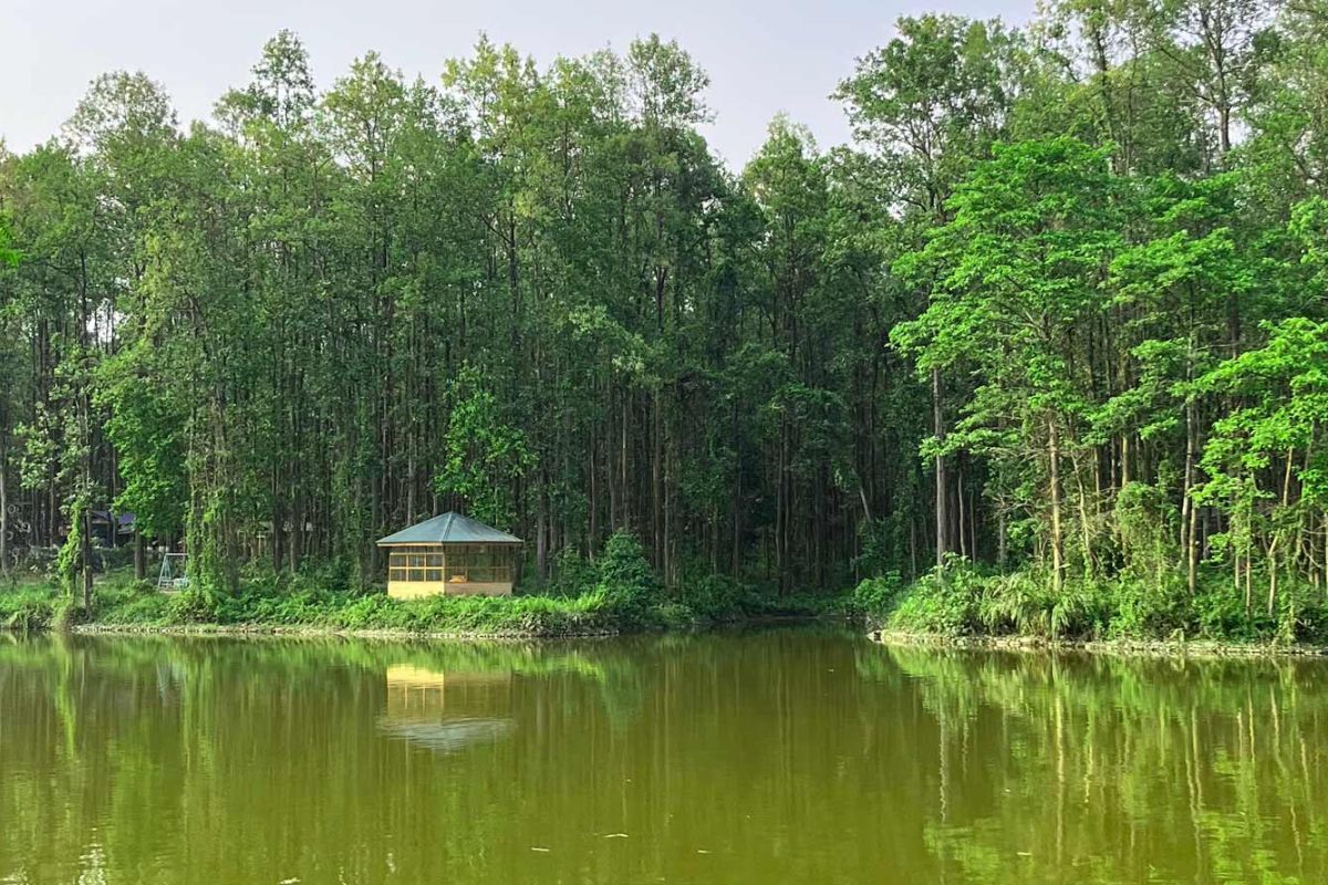 salbari park
