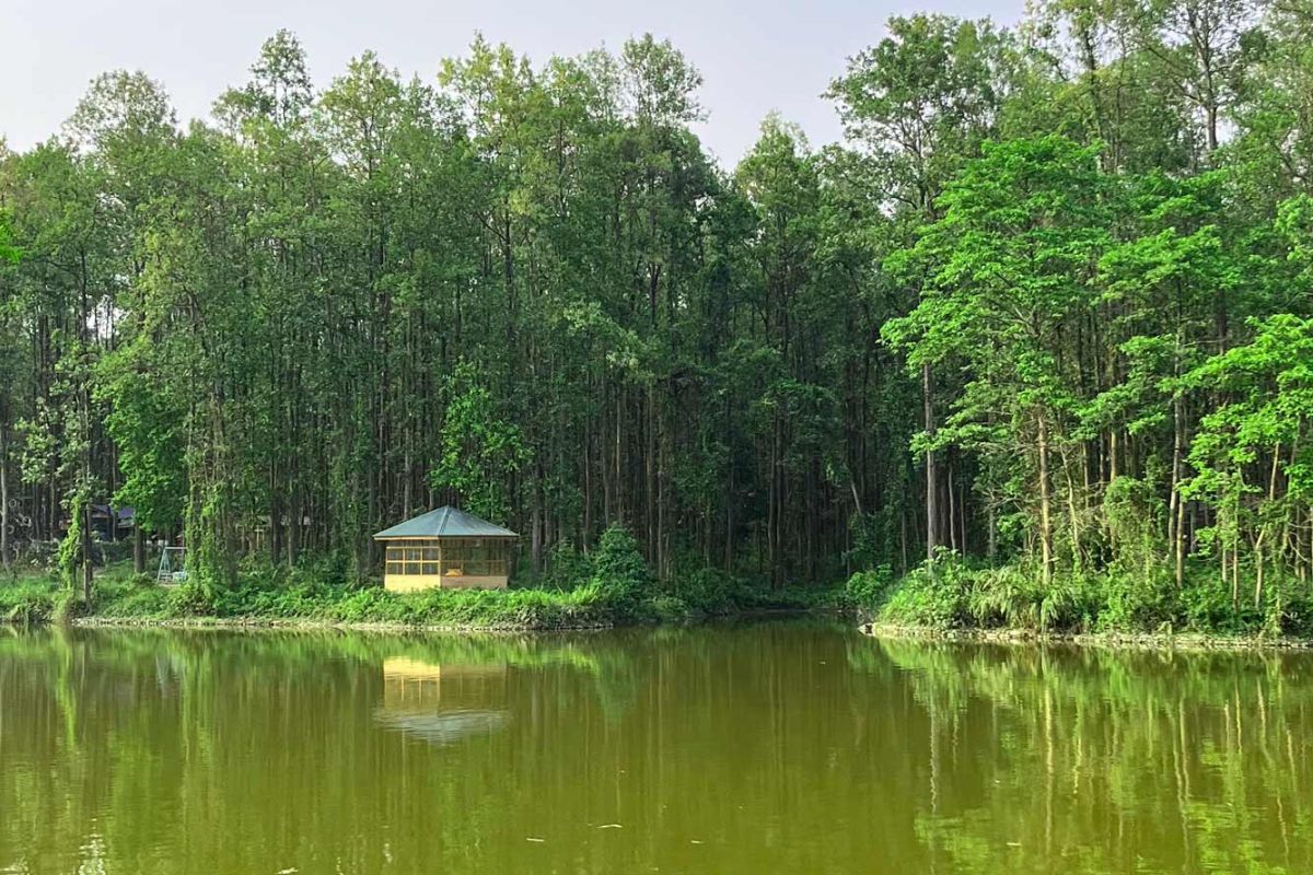 salbari park